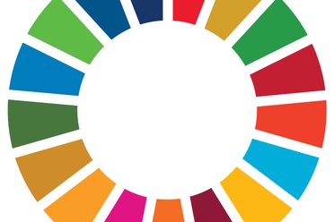 SDG%20Wheel_WEB.png
