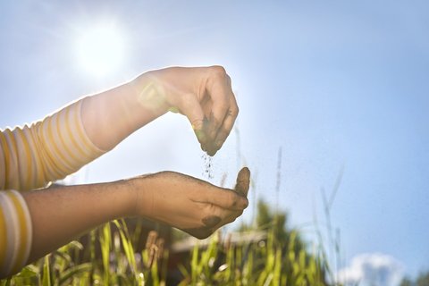Person streut Pflanzkohle von einer Hand in die andere vor einem sonnigen, blauen Himmel.