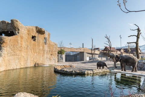 Nachhaltige Energie für Knies Kinderzoo