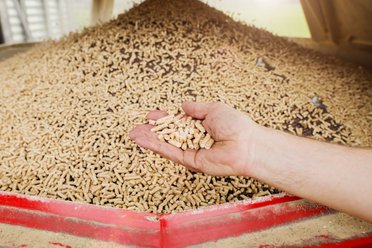 Themenbild-Holzpellets-Hand-voll-Pellets-2020-Energie360.jpg