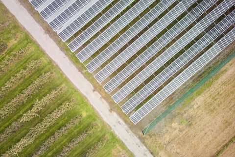Sur les surfaces cultivables, l’agrivoltaïsme protège les cultures agricoles des intempéries.