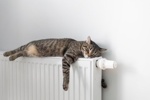 Eine getigerte Katze liegt auf einem Heizkörper