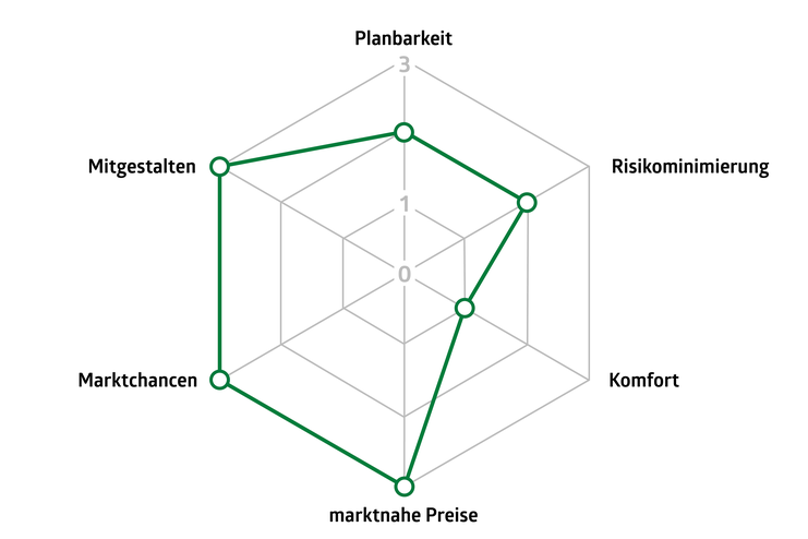 Spider-Grafik zur Erläuterung der Vorteile der strukturierten Beschaffung