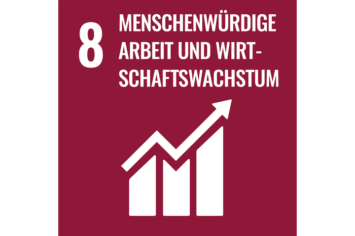 nb_sdg8_de.png