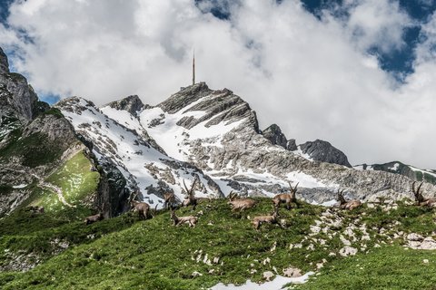 Energie 360° hat ihre 100%-Beteiligung an der Säntis Energie AG per 1. Juni 2024 an die Gravag Energie AG verkauft.