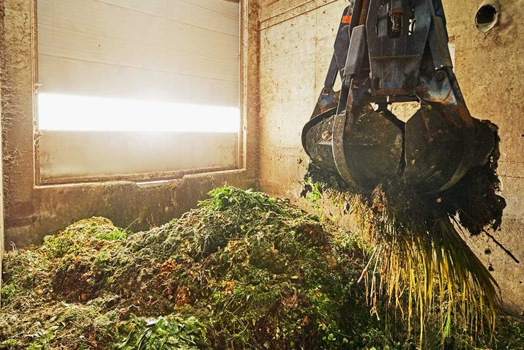 Organische Stoffe wie Grünabfälle werden zur Produktion von Biogas eingesetzt