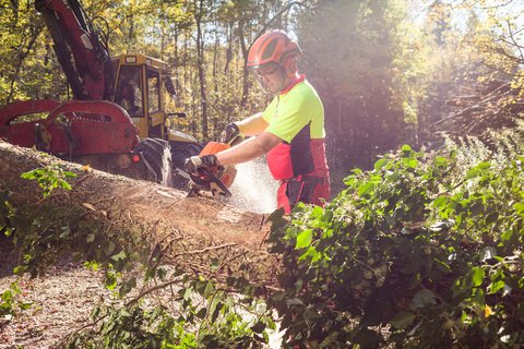 Das Holz für den Energieverbund Embrach stammt aus dem nahen Wald