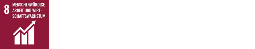 E360_SDG_Icons-Web_Arbeitgeberin.png