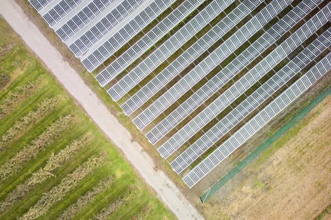 Energie 360° baut gemeinsam mit ihrem Partner Insolight in Leuggern (AG) eine landwirtschaftliche Solaranlage auf einer Kirschenkultur und produziert viel Solarstrom – insgesamt rund 800 MWh pro Jahr.