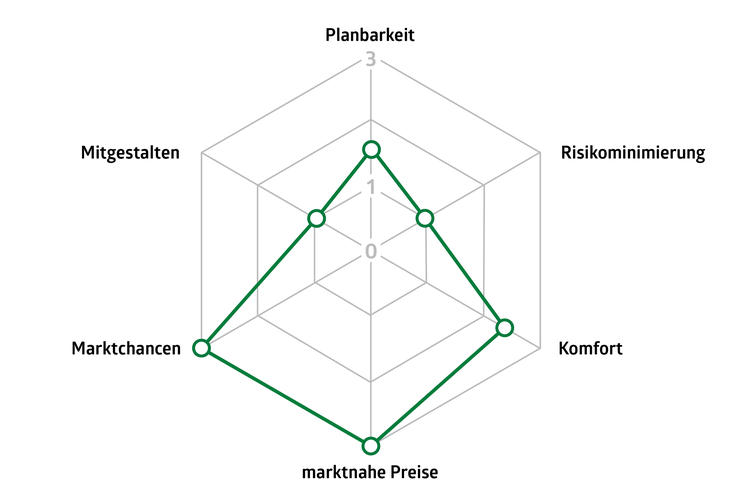 Spider-Grafik zur Erläuterung der Vorteile der Gasbeschaffung am Spotmarkt