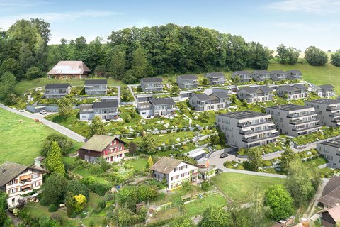 Visualisierung der Überbauung Hohlen in Huttwil: Terrassenhäuser in einer grünen Landschaft