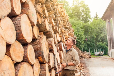 Troncs d’arbres stockés dont provient l’énergie pour le réseau énergétique de Thusis