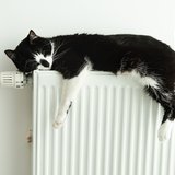 Eine schwarz-weisse Katze schläft auf einer Heizung