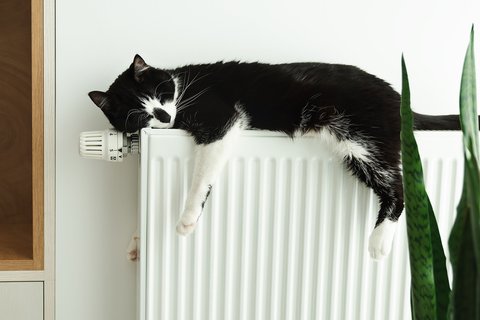 Un chat noir et blanc dort sur un radiateur