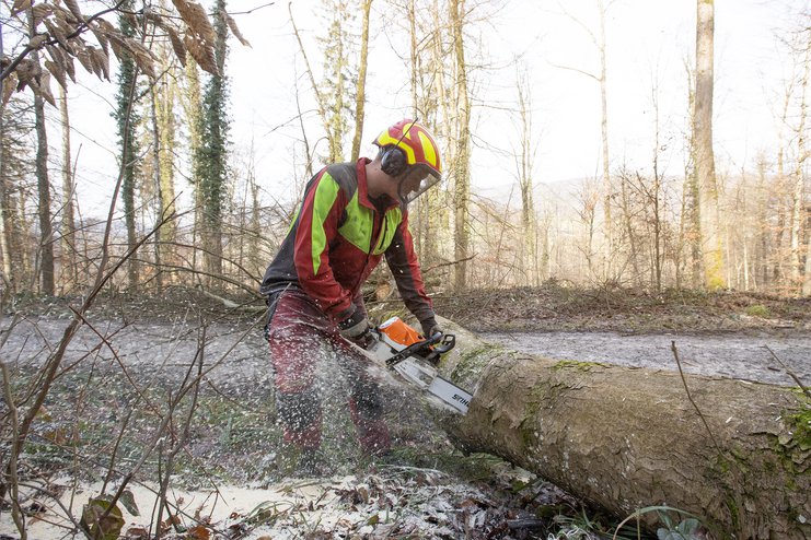 Forestier dans la forêt communale d’Embrach, d’où provient une grande partie des copeaux de bois utilisés pour le réseau de chauffage d’Embrach